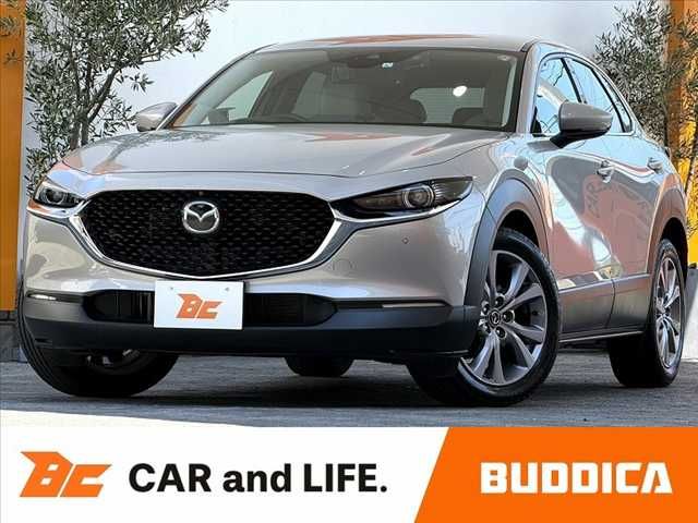 Japanese used car Ref# 1611817 MAZDA / CX-30