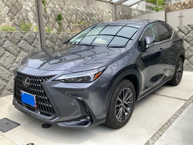 TOYOTA / LEXUS NX250