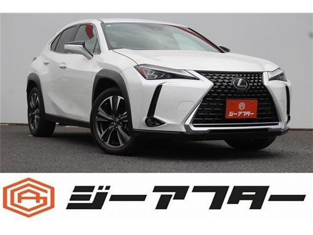 TOYOTA / LEXUS UX250h