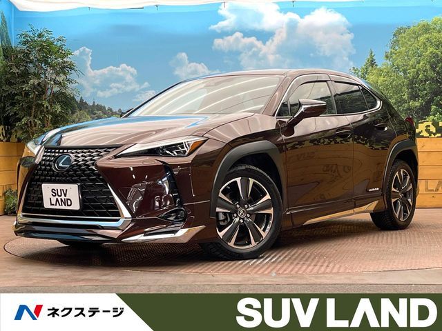 TOYOTA / LEXUS UX250h