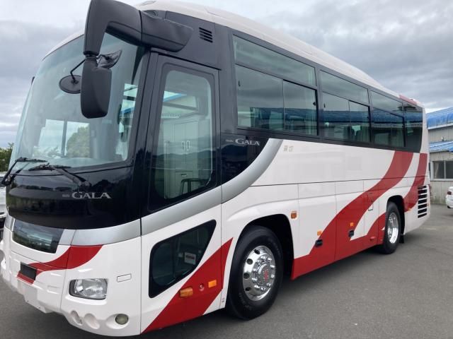 Japanese used car Ref# 1615657 ISUZU / GALA
