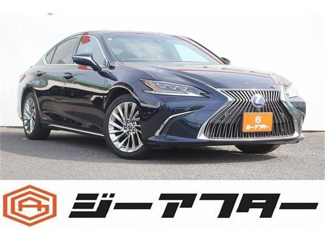 TOYOTA / LEXUS ES300h