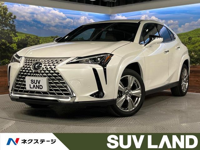 TOYOTA / LEXUS UX250h