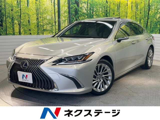 TOYOTA / LEXUS ES300h