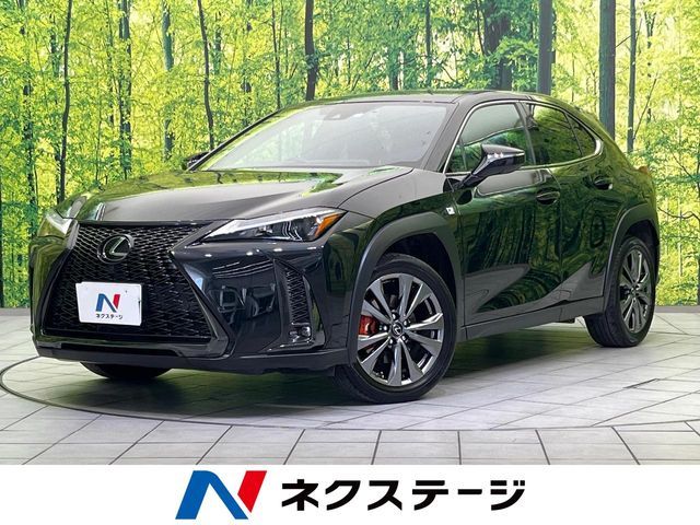 TOYOTA / LEXUS UX250h