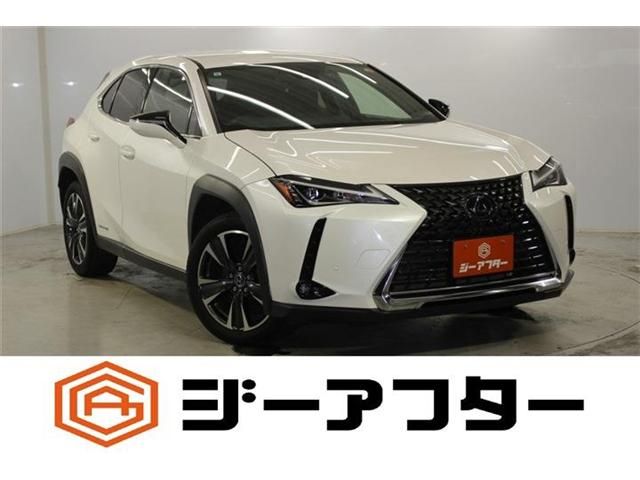 TOYOTA / LEXUS UX250h