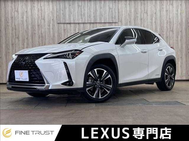 TOYOTA / LEXUS UX250h