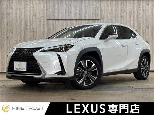 TOYOTA / LEXUS UX250h