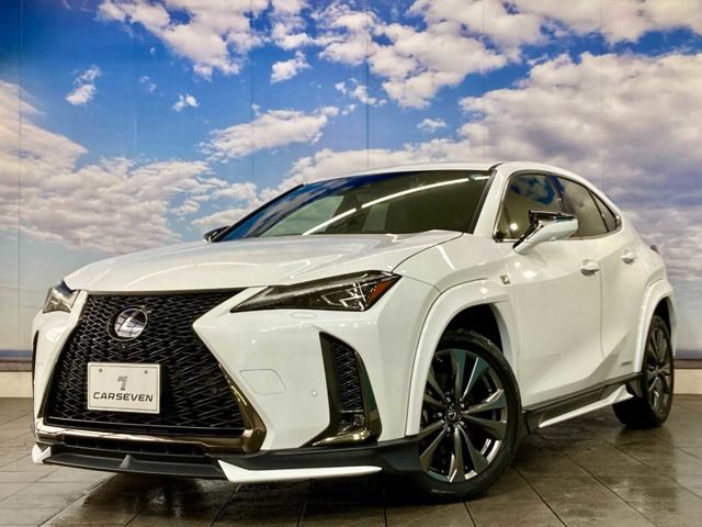 TOYOTA / LEXUS UX250h AWD