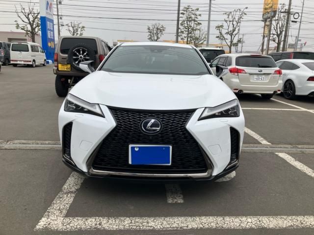TOYOTA / LEXUS UX250h AWD