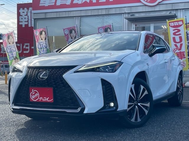TOYOTA / LEXUS UX250h