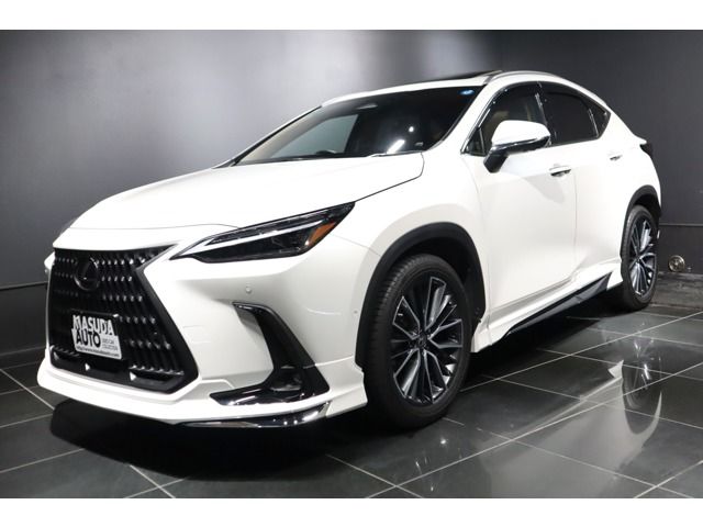 TOYOTA / LEXUS NX450h+ AWD