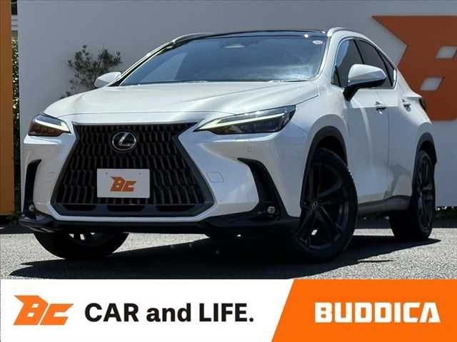 TOYOTA / LEXUS NX250