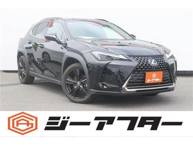 TOYOTA / LEXUS UX250h