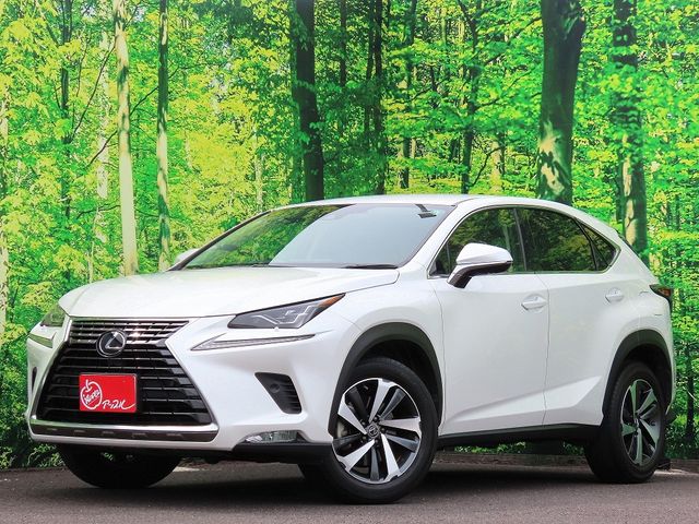 TOYOTA / LEXUS NX300