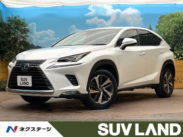 TOYOTA / LEXUS NX300
