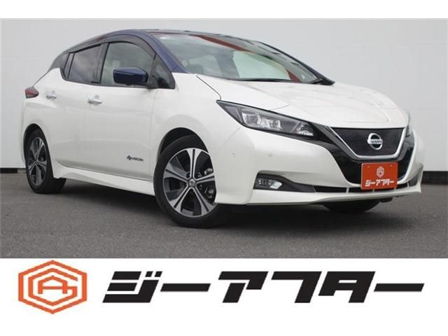 NISSAN / LEAF