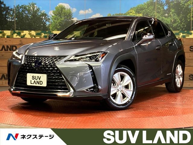 TOYOTA / LEXUS UX250h