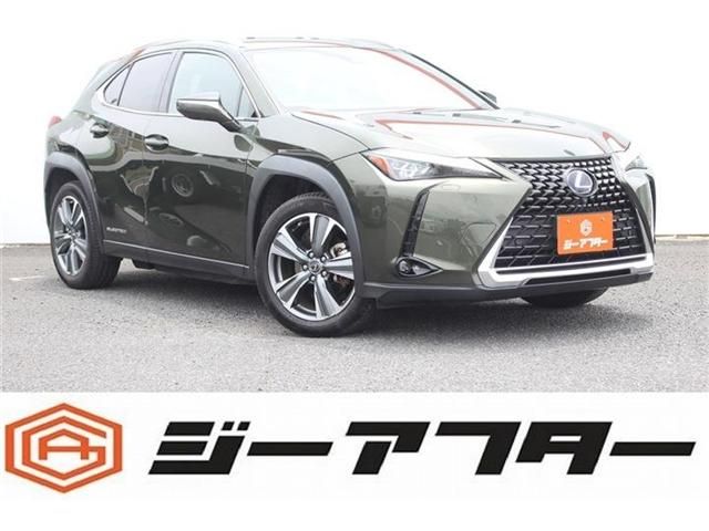 TOYOTA / LEXUS UX300e