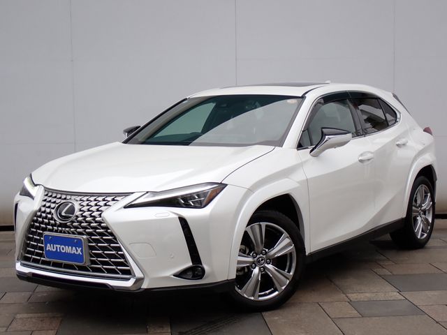 TOYOTA / LEXUS UX250h