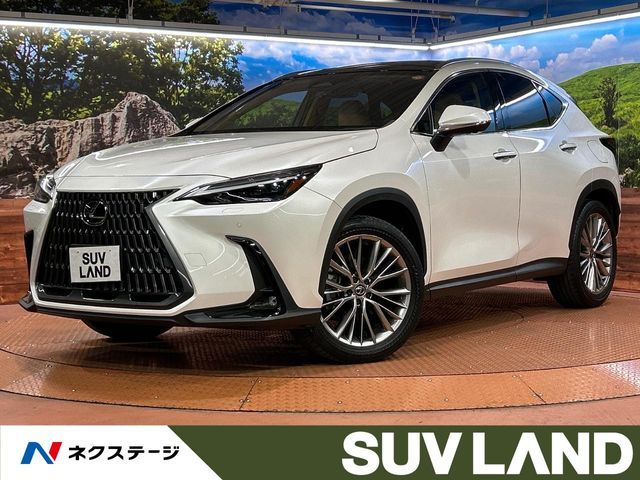 TOYOTA / LEXUS NX250