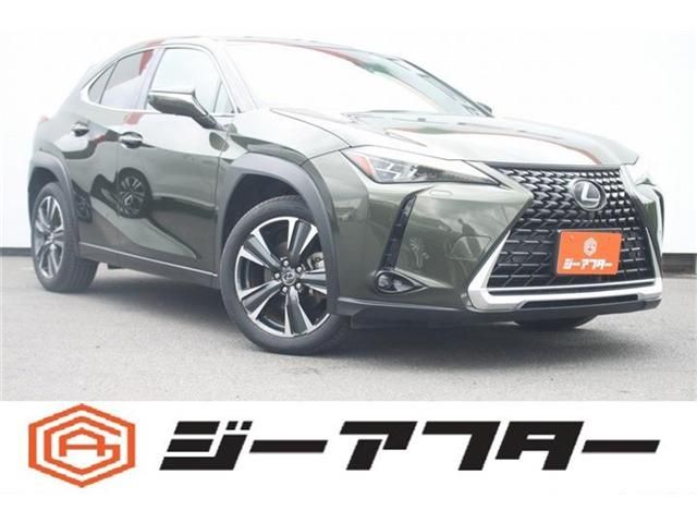 TOYOTA / LEXUS UX250h