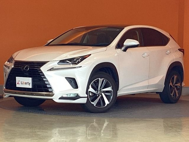 TOYOTA / LEXUS NX300