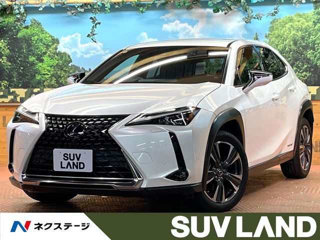 TOYOTA / LEXUS UX250h