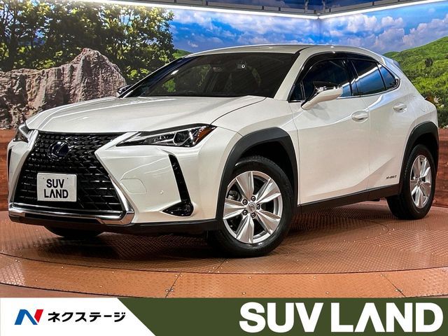 TOYOTA / LEXUS UX250h