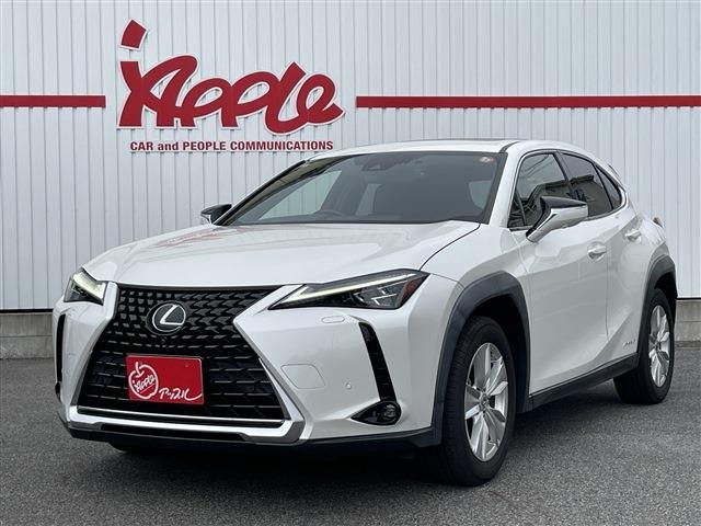 TOYOTA / LEXUS UX250h