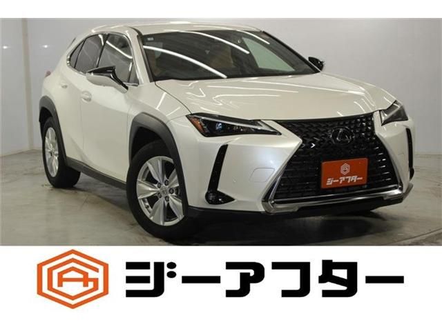 TOYOTA / LEXUS UX250h