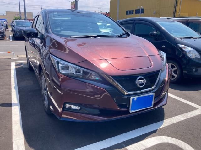 NISSAN / LEAF
