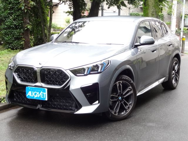 BMW / BMW X2