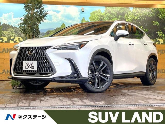 TOYOTA / LEXUS NX250