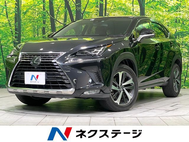 TOYOTA / LEXUS NX300 AWD