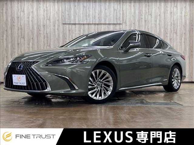 TOYOTA / LEXUS ES300h