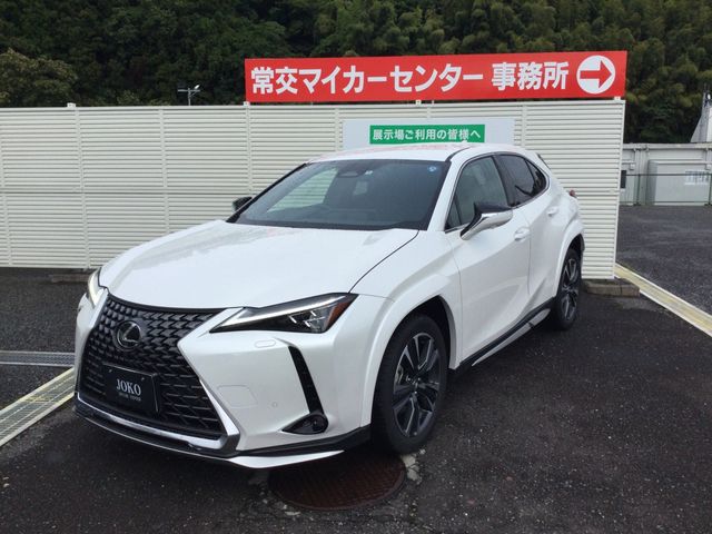 TOYOTA / LEXUS UX300h