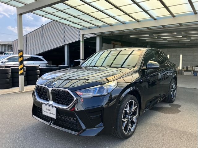 BMW / BMW X2