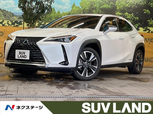 TOYOTA / LEXUS UX250h