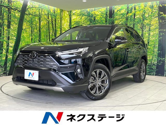 TOYOTA / RAV4 HYBRID 4WD