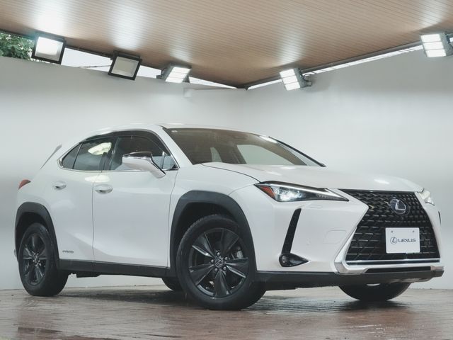TOYOTA / LEXUS UX250h