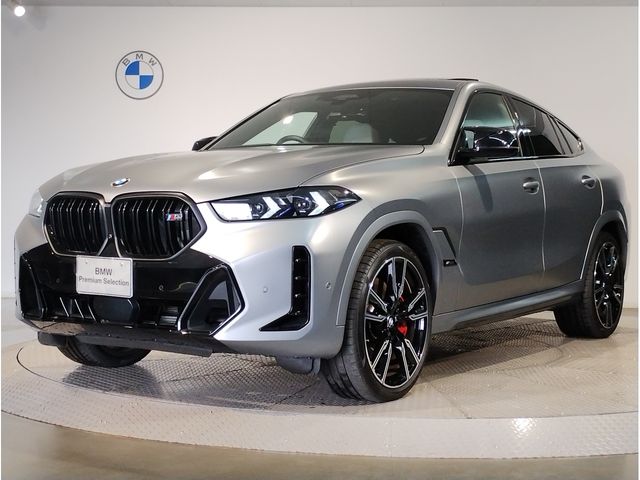 BMW / BMW X6
