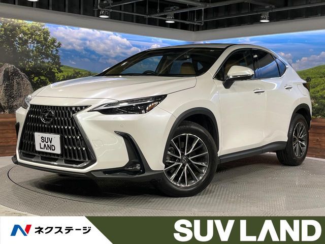 TOYOTA / LEXUS NX250 AWD