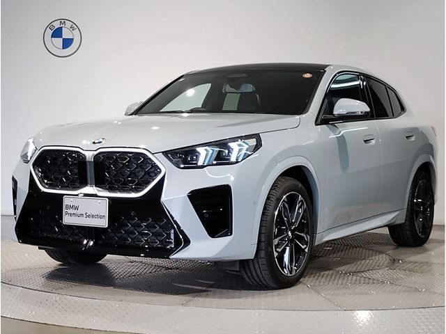 BMW / BMW X2
