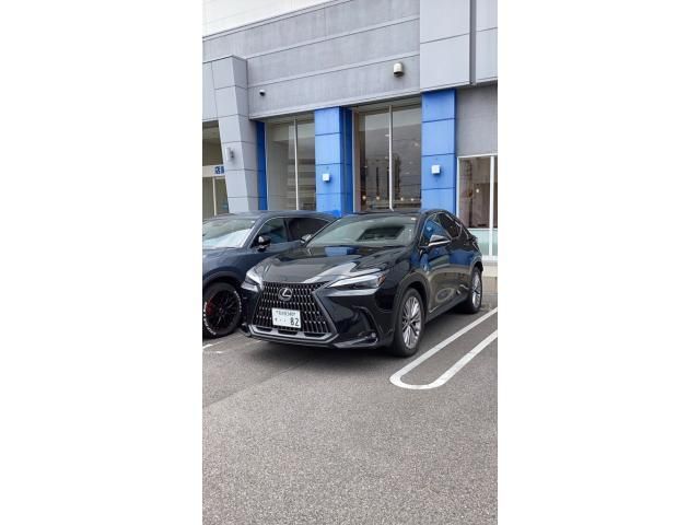 TOYOTA / LEXUS NX250
