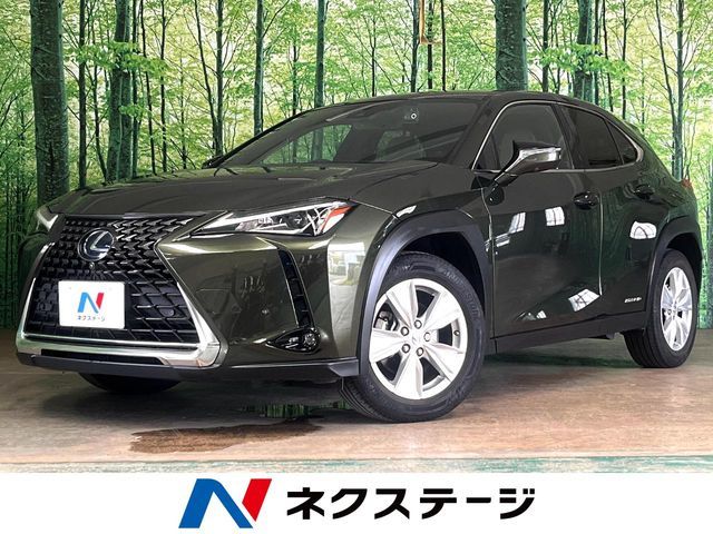 TOYOTA / LEXUS UX250h
