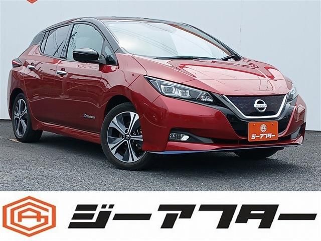 NISSAN / LEAF