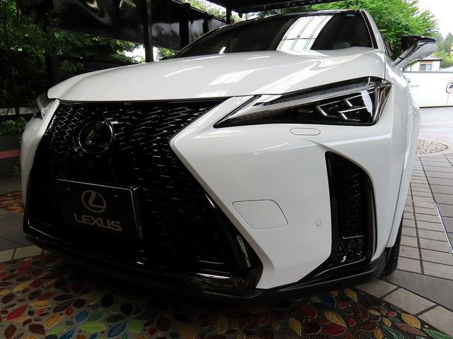 Japanese used car Ref# 1628170 TOYOTA / LEXUS UX300h