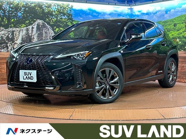 TOYOTA / LEXUS UX250h