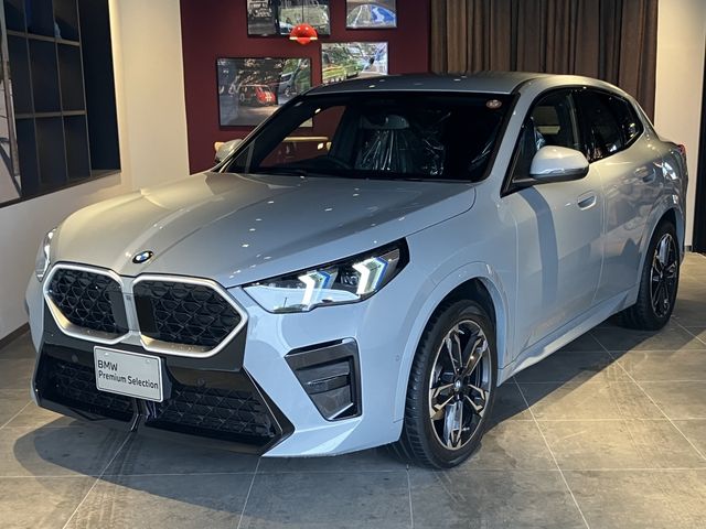 BMW / BMW X2